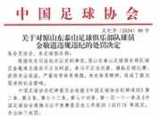 半岛体育vip注册-球员因纪律问题遭到球队处罚