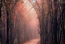 半岛体育网站入口-芬兰女子田径运动员刷新全国记录，挑战极限展现风采