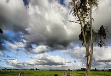 半岛体育活动-意甲青训Factory：未来之星的摇篮，一场足球皇家的盛宴