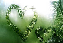 半岛体育活动-意甲青训Factory：未来之星的摇篮，一场足球皇家的盛宴