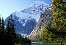 半岛体育活动-意甲青训Factory：未来之星的摇篮，一场足球皇家的盛宴