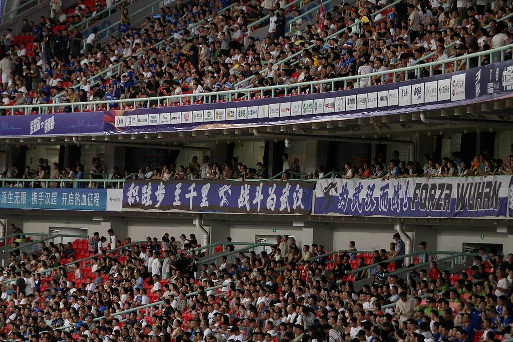 湖北队主场失利，发挥未如人意